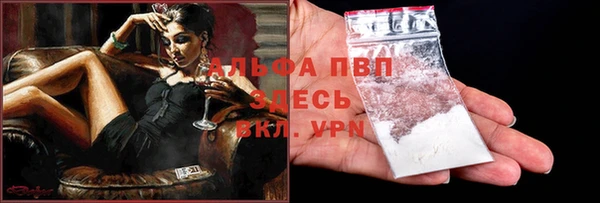 стаф Арсеньев