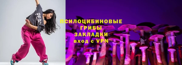 прущие грибы Армянск