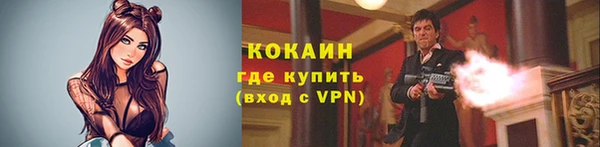 прущие грибы Армянск