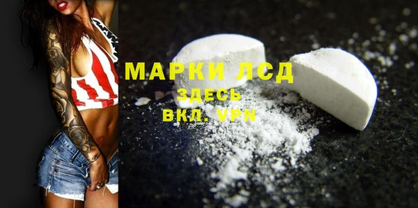 стаф Арсеньев
