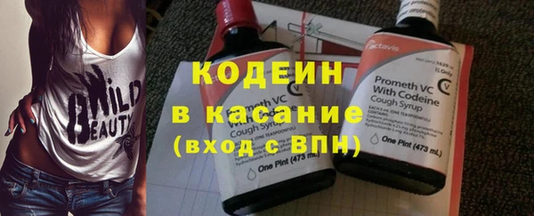 стаф Арсеньев