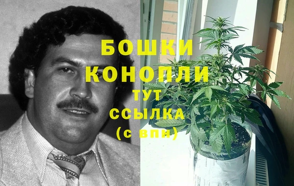 стаф Арсеньев
