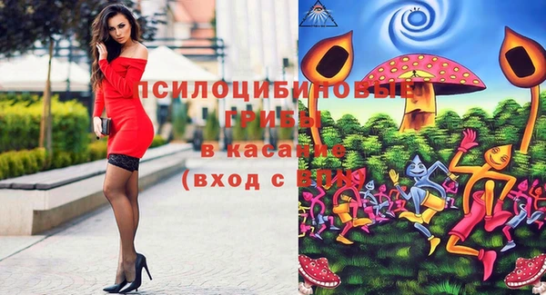 стаф Арсеньев