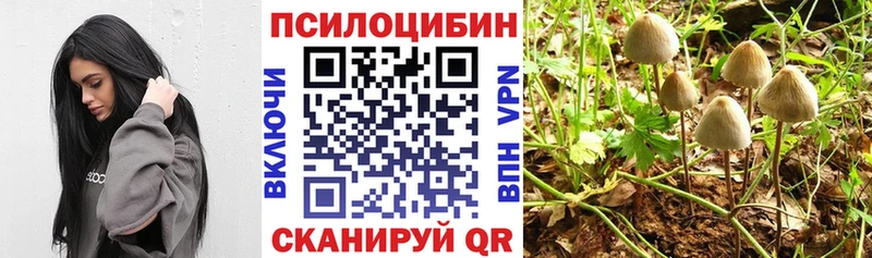 Псилоцибиновые грибы GOLDEN TEACHER  Сургут 